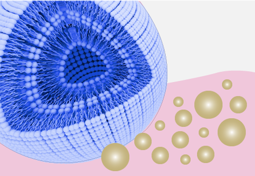 Microspheres 2